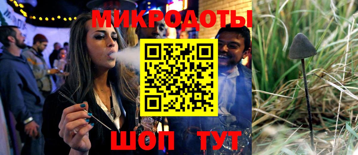 Псилоцибиновые грибы Cubensis  Вход с VPN  Петрозаводск 