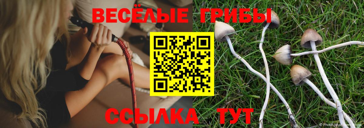 Псилоцибиновые грибы мицелий Петрозаводск